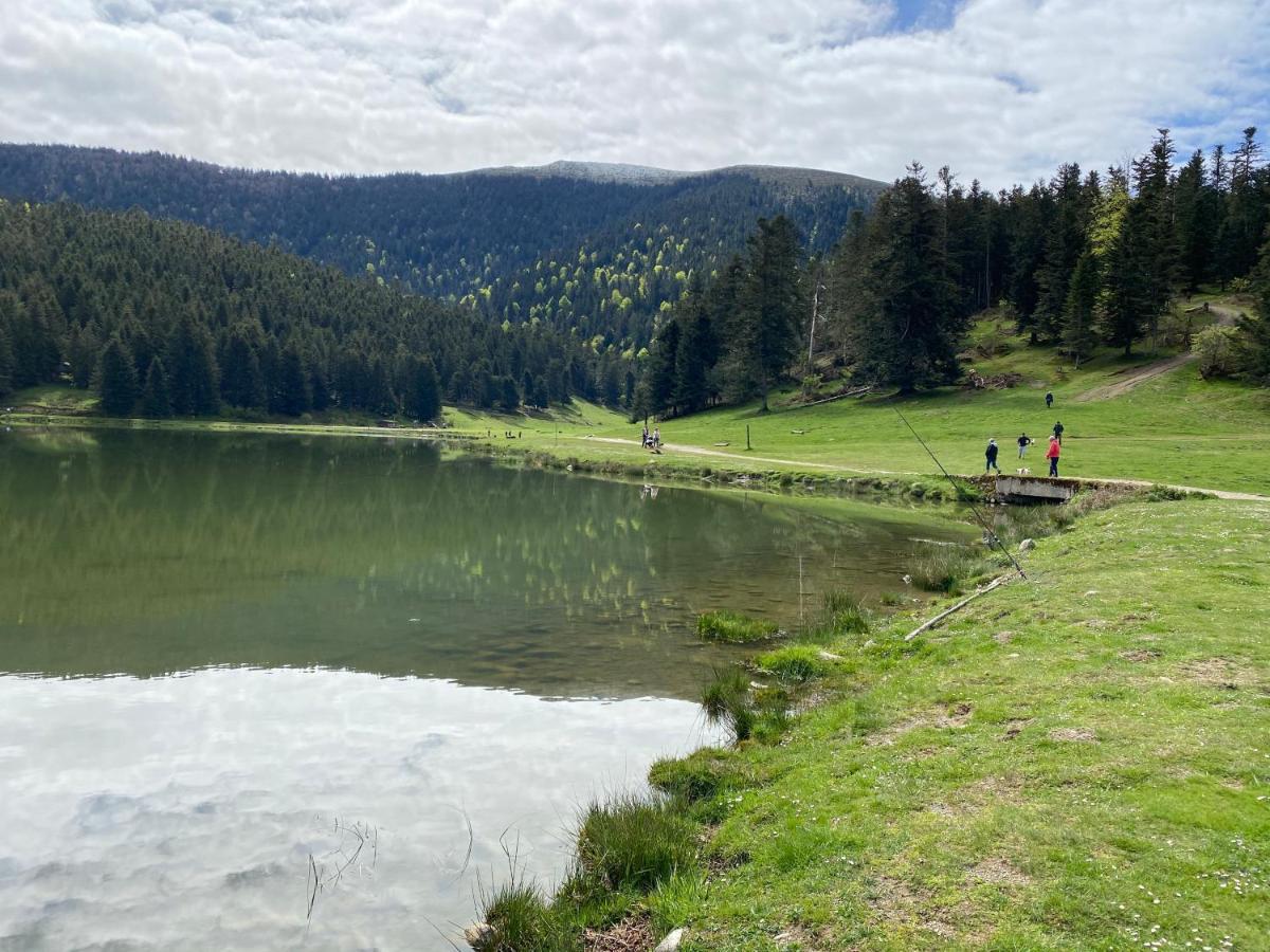 Gite Chaleureux Au Lac De Payolle Campan Buitenkant foto