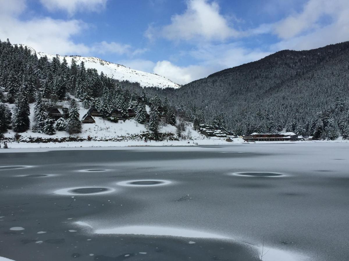 Gite Chaleureux Au Lac De Payolle Campan Buitenkant foto